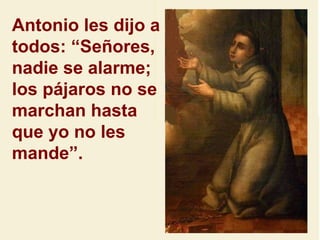Antonio les dijo a todos: “Señores, nadie se alarme; los pájaros no se marchan hasta que yo no les mande”. 