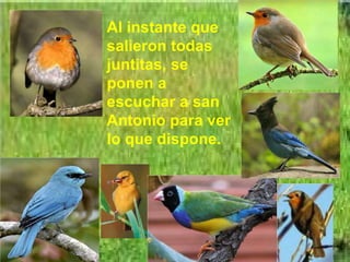 Al instante que salieron todas juntitas, se ponen a escuchar a san Antonio para ver lo que dispone. 