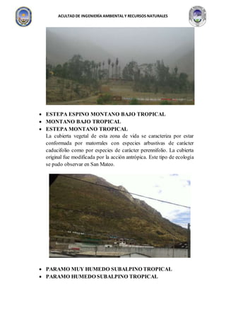 ACULTAD DE INGENIERÍA AMBIENTAL Y RECURSOS NATURALES
 ESTEPA ESPINO MONTANO BAJO TROPICAL
 MONTANO BAJO TROPICAL
 ESTEPA MONTANO TROPICAL
La cubierta vegetal de esta zona de vida se caracteriza por estar
conformada por matorrales con especies arbustivas de carácter
caducifolio como por especies de carácter perennifolio. La cubierta
original fue modificada por la acción antrópica. Este tipo de ecología
se pudo observar en San Mateo.
 PARAMO MUY HUMEDO SUBALPINO TROPICAL
 PARAMO HUMEDO SUBALPINO TROPICAL
 