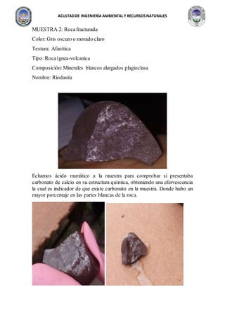 ACULTAD DE INGENIERÍA AMBIENTAL Y RECURSOS NATURALES
MUESTRA 2: Rocafracturada
Color: Gris oscuro o morado claro
Textura: Afanítica
Tipo: Rocaígnea-volcanica
Composición: Minerales blancos alargados plagioclasa
Nombre: Riodasita
Echamos ácido muriático a la muestra para comprobar si presentaba
carbonato de calcio en su estructura química, obteniendo una efervescencia
la cual es indicador de que existe carbonato en la muestra. Donde hubo un
mayor porcentaje en las partes blancas de la roca.
 