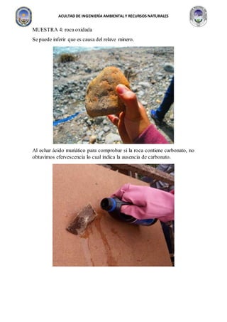 ACULTAD DE INGENIERÍA AMBIENTAL Y RECURSOS NATURALES
MUESTRA 4: roca oxidada
Se puede inferir que es causa del relave minero.
Al echar ácido muriático para comprobar si la roca contiene carbonato, no
obtuvimos efervescencia lo cual indica la ausencia de carbonato.
 