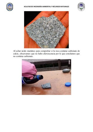 ACULTAD DE INGENIERÍA AMBIENTAL Y RECURSOS NATURALES
Al echar ácido muriático para comprobar si la roca contiene carbonato de
calcio, observamos que no hubo efervescencia por lo que concluimos que
no contiene carbonato.
 