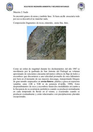 ACULTAD DE INGENIERÍA AMBIENTAL Y RECURSOS NATURALES
Muestra 2: Suelo
Se encontró granos de arena y también limo. Si fuera arcille ensuciaría todo
por eso se descartó al no manchar nada.
Composición:fragmentos de rocas, minerales, arena fina, limo.
Como un orden de magnitud durante los deslizamientos del año 1987 se
movilizaron por la quebrada de San Antonio del Pedregal un volumen
aproximado de seiscientos cincuenta mil metros cúbicos de flujo de lodos y
escombros que discurrieron a una velocidad promedio de once kilómetros
por hora en el momento de sus mayores descargas, transportando bloques
de gran tamaño empacados en arena-limosa, piedras y grava en espesores
variables entre 2.00 a 9.00 m de potencia (Carrillo, 1989). Estos
desprendimientos de roca y escombros tienen dos modalidades en cuanto a
la frecuencia de su ocurrencia: periódicos cuando se producen normalmente
en cada temporada de lluvias en el verano, y ocasionales cuando se
producen eventualmente y están relacionados con precipitaciones pluviales
excepcionales.
 