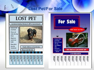 Lost Pet/For Sale
 
