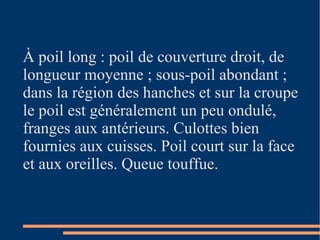 À poil long : p oil de couverture droit, de longueur moyenne ; sous-poil abondant ; dans la région des hanches et sur la croupe le poil est généralement un peu ondulé, franges aux antérieurs. Culottes bien fournies aux cuisses. Poil court sur la face et aux oreilles. Queue touffue. 