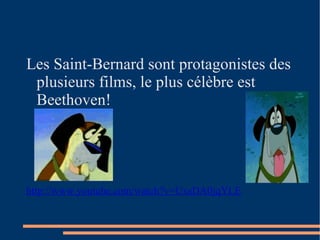 Les Saint-Bernard sont protagonistes des plusieurs films, le plus célèbre est Beethoven! http://www.youtube.com/watch?v=UxsDA0jqYLE 