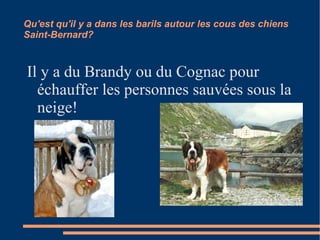 Qu'est qu'il y a dans les barils autour les cous des chiens Saint-Bernard? Il y a du Brandy ou du Cognac pour échauffer les personnes sauvées sous la neige! 