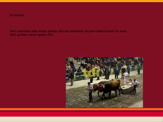 Idi probak




Herri askotako idiak lehian jartzen dira eta azkenean idi pare batek lortzen du saria.
Aste guztian zehar egoten dira.
 