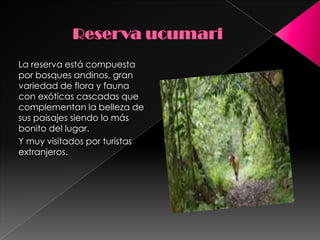 Reserva ucumari La reserva está compuesta por bosques andinos, gran variedad de flora y fauna con exóticas cascadas que complementan la belleza de sus paisajes siendo lo más bonito del lugar.Y muy visitados por turistas extranjeros.