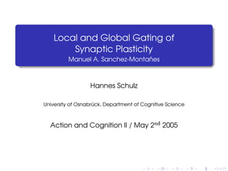Local and Global Gating of
        Synaptic Plasticity
         Manuel A. Sanchez-Montañes



                  Hannes Schulz

University of Osnabrück, Department of Cognitive Science



  Action and Cognition II / May 2nd 2005