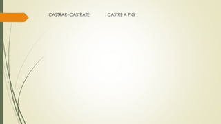 CASTRAR=CASTRATE I CASTRE A PIG
 