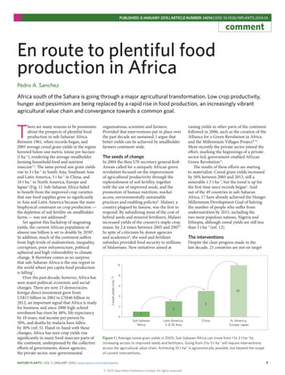 NATURE PLANTS | VOL 1 | JANUARY 2015 | www.nature.com/natureplants	 1
PUBLISHED: 8 JANUARY 2015 | ARTICLE NUMBER: 14014 | DOI: 10.1038/NPLANTS.2014.14
comment
En route to plentiful food
production in Africa
Pedro A. Sanchez
Africa south of the Sahara is going through a major agricultural transformation. Low crop productivity,
hunger and pessimism are being replaced by a rapid rise in food production, an increasingly vibrant
agricultural value chain and convergence towards a common goal.
T
here are many reasons to be pessimistic
about the prospects of plentiful food
production in sub-Saharan Africa.
Between 1961, when records began, and
2005 average cereal grain yields in the region
hovered below one metric tonne per hectare
(t ha–1
), rendering the average smallholder
farming household food and nutrient
insecure1,2
. The same period saw grain yields
rise to 3 t ha–1
in South Asia, Southeast Asia
and Latin America, 5 t ha–1
in China, and
10 t ha–1
in North America, Europe and
Japan1
(Fig. 1). Sub-Saharan Africa failed
to benefit from the improved crop varieties
that saw food supplies grow so significantly
in Asia and Latin America because the main
biophysical constraint on crop production —
the depletion of soil fertility on smallholder
farms — was not addressed3
.
Set against this backdrop of stagnating
yields, the current African population of
almost one billion is set to double by 20504
.
In addition, much of the continent suffers
from high levels of malnutrition, inequality,
corruption, poor infrastructure, political
upheaval and high vulnerability to climate
change. It therefore comes as no surprise
that sub-Saharan Africa is the one region in
the world where per capita food production
is falling1
.
Over the past decade, however, Africa has
seen major political, economic and social
changes. There are now 23 democracies;
foreign direct investment grew from
US$15 billion in 2002 to US$46 billion in
2012, an important signal that Africa is ready
for business; and since 2000 high-school
enrolment has risen by 48%, life expectancy
by 10 years, real income per person by
30%, and deaths by malaria have fallen
by 30% (ref. 5). Hand-in-hand with these
changes, Africa has seen crop yields rise
significantly in many food-insecure parts of
the continent, underpinned by the collective
efforts of governments, donor agencies,
the private sector, non-governmental
organizations, scientists and farmers.
Provided that interventions put in place over
the past decade are sustained, I argue that
better yields can be achieved by smallholder
farmers continent-wide.
The seeds of change
In 2004 the then UN secretary general Kofi
Annan called for a uniquely African green
revolution focused on the improvement
of agricultural productivity through the
replenishment of soil fertility, together
with the use of improved seeds, and the
promotion of human nutrition, market
access, environmentally sustainable
practices and enabling policies6
. Malawi, a
country plagued by famine, was the first to
respond. By subsidizing most of the cost of
hybrid seeds and mineral fertilizers, Malawi
increased yields of the country’s staple crop,
maize, by 2.6 times between 2005 and 20077
.
In spite of criticisms by donor agencies
and academics8
, the seed and fertilizer
subsidies provided food security to millions
of Malawians. New initiatives aimed at
raising yields in other parts of the continent
followed in 2006, such as the creation of the
Alliance for a Green Revolution in Africa
and the Millennium Villages Project9,10
.
More recently the private sector joined the
effort, marking the beginnings of a private-
sector-led, government-enabled African
Green Revolution11
.
The results of these efforts are starting
to materialize. Cereal grain yields increased
by 50% between 2005 and 2013, still a
miserable 1.5 t ha–1
, but the trend is up for
the first time since records began1
. And
out of the 49 countries in sub-Saharan
Africa, 17 have already achieved the Hunger
Millennium Development Goal of halving
the number of people who suffer from
undernutrition by 2015, including the
two most populous nations, Nigeria and
Ethiopia, although cereal yields are still less
than 3 t ha–1
(ref. 12).
The interventions
Despite the clear progress made in the
last decade, 21 countries are not on target
Cerealyields(tha−1
)
Sub-Saharan
Africa
Latin America,
S. & SE Asia
China N. America,
Europe, Japan
0
2
4
6
8
10
1
3
5
10
Figure 1 | Average cereal grain yields in 2005. Sub-Saharan Africa can move from 1 to 3 t ha–1
by
increasing access to improved seeds and fertilizers. Going from 3 to 5 t ha–1
will require interventions
across the agricultural value chain. Achieving 10 t ha–1
is agronomically possible, but beyond the scope
of current interventions.
© 2015 Macmillan Publishers Limited. All rights reserved
 