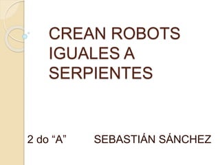 CREAN ROBOTS 
IGUALES A 
SERPIENTES 
2 do “A” SEBASTIÁN SÁNCHEZ 
 