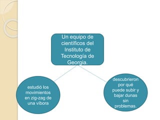 Un equipo de 
científicos del 
Instituto de 
Tecnología de 
Georgia. 
estudió los 
movimientos 
en zig-zag de 
una víbora 
descubrieron 
por qué 
puede subir y 
bajar dunas 
sin 
problemas. 
 