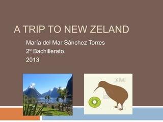 A TRIP TO NEW ZELAND
María del Mar Sánchez Torres
2º Bachillerato
2013
 