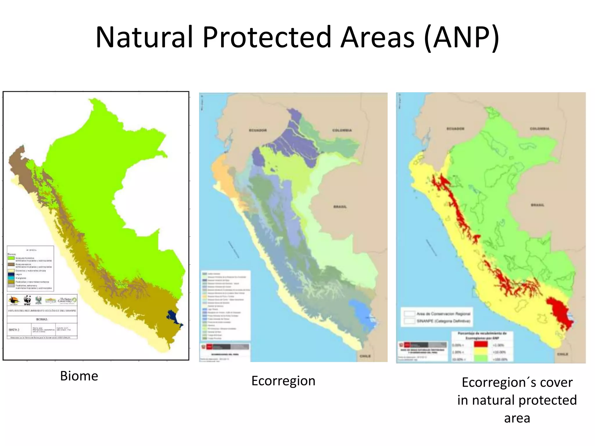 Image showcasing Zara Sanchez - Importance of Sustainability in Peru's Natural Protected ...