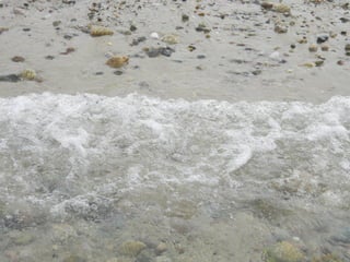 Sanchwich beach  jessie