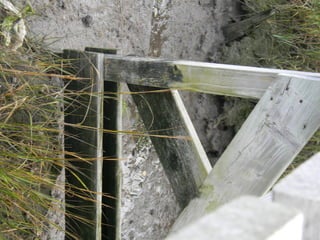 Sanchwich beach  jessie