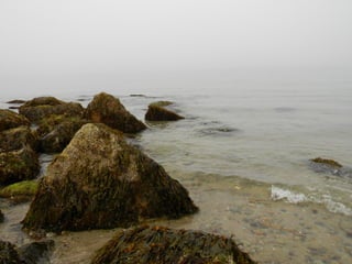 Sanchwich beach  jessie