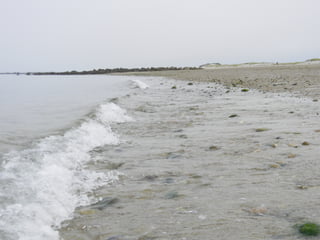 Sanchwich beach  jessie