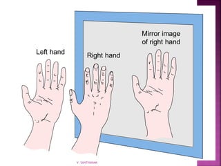 20_448
Left hand
Right hand
Mirror image
of right hand
V. SANTHANAM
 