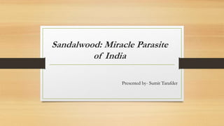 Sandalwood: Miracle Parasite
of India
Presented by- Sumit Tarafder
 