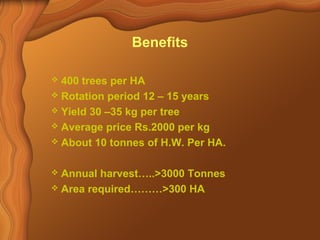 Benefits 
 400 trees per HA 
 Rotation period 12 – 15 years 
 Yield 30 –35 kg per tree 
 Average price Rs.2000 per kg 
 About 10 tonnes of H.W. Per HA. 
 Annual harvest…..>3000 Tonnes 
 Area required………>300 HA 
 