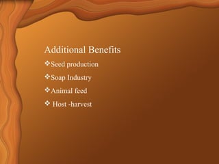 Additional Benefits 
Seed production 
Soap Industry 
Animal feed 
 Host -harvest 
 