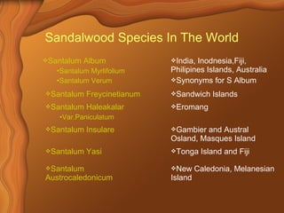 Sandalwood Species In The World 
Santalum Album 
•Santalum Myrlifolium 
•Santalum Verum 
India, Inodnesia,Fiji, 
Philipines Islands, Australia 
Synonyms for S Album 
Santalum Freycinetianum Sandwich Islands 
Santalum Haleakalar 
•Var.Paniculatum 
Eromang 
Santalum Insulare Gambier and Austral 
Osland, Masques Island 
Santalum Yasi Tonga Island and Fiji 
Santalum 
Austrocaledonicum 
New Caledonia, Melanesian 
Island 
 