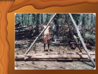 Sandalwood Detailed Overview