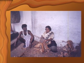 Sandalwood Detailed Overview