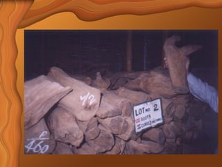 Sandalwood Detailed Overview