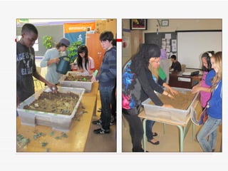 Sandbox 101 , Benefits? Accommodates both the Spec. Ed and ESL student