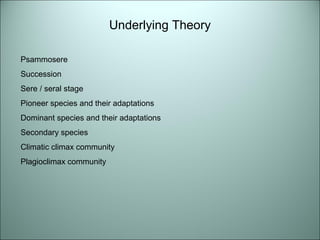 Underlying Theory 
Psammosere 
Succession 
Sere / seral stage 
Pioneer species and their adaptations 
Dominant species and their adaptations 
Secondary species 
Climatic climax community 
Plagioclimax community 
 