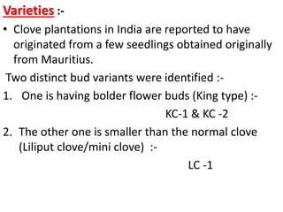 Varieties :-
• Clove plantations in India are reported to have
originated from a few seedlings obtained originally
from Mauritius.
Two distinct bud variants were identified :-
1. One is having bolder flower buds (King type) :-
KC-1 & KC -2
2. The other one is smaller than the normal clove
(Liliput clove/mini clove) :-
LC -1
 