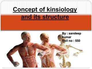 Concept of kinsiology
and its structure
By : sandeep
kumar
Roll no : 550
 
