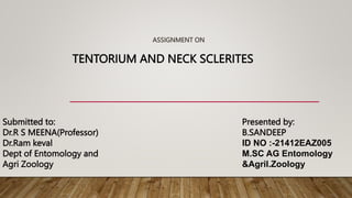 ASSIGNMENT ON
TENTORIUM AND NECK SCLERITES
Presented by:
B.SANDEEP
ID NO :-21412EAZ005
M.SC AG Entomology
&Agril.Zoology
Submitted to:
Dr.R S MEENA(Professor)
Dr.Ram keval
Dept of Entomology and
Agri Zoology
 
