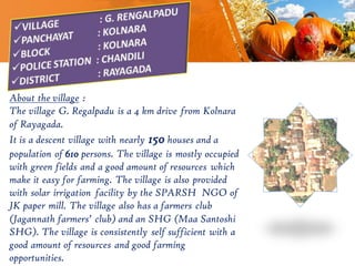 About the village :
The village G. Regalpadu is a 4 km drive from Kolnara
of Rayagada.
It is a descent village with nearly 150 houses and a
population of 610 persons. The village is mostly occupied
with green fields and a good amount of resources which
make it easy for farming. The village is also provided
with solar irrigation facility by the SPARSH NGO of
JK paper mill. The village also has a farmers club
(Jagannath farmers’ club) and an SHG (Maa Santoshi
SHG). The village is consistently self sufficient with a
good amount of resources and good farming
opportunities.
 