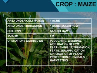 Click to edit Master title style
3
4
AREA UNDER CULTIVATION 1 ACRE
AREA UNDER IRRIGATION 1 ACRE (SOLAR PUMP)
SOIL TYPE SANDY LOAM
SOIL pH 5.9
OPERATIONS CARRIED OUT PLOUGHING, WEEDING,
APPLICATION OF FYM,
EARTHENING UP, IRRIGATION,
FERTILIZERAPPLICATION,
APPLICATION OF PLANT
PROTECTION CHEMICALS,
HARVESTING
CROP : MAIZE
 