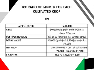 ATTRIBUTE VALUE
YIELD 30 Quintals grain and 65 Quintal
straw / 2 acres
COST PER QUINTAL Rs. 1500 for grain, Rs. 500 for straw
TOTAL VALUE 45,000 (grain) + 32,500 (straw) = Rs.
77,500
NET PROFIT Gross income – Cost of cultivation
77,500 – 35,530 = 41,970
B:C RATIO 41,970 ÷ 35,530 = 1.18
B:C RATIO OF FARMER FOR EACH
CULTIVATED CROP
RICE
 