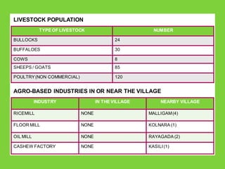 LIVESTOCK POPULATION
TYPE OF LIVESTOCK NUMBER
BULLOCKS 24
BUFFALOES 30
COWS 8
SHEEPS / GOATS 85
POULTRY(NON COMMERCIAL) 120
AGRO-BASED INDUSTRIES IN OR NEAR THE VILLAGE
INDUSTRY IN THE VILLAGE NEARBY VILLAGE
RICEMILL NONE MALLIGAM(4)
FLOOR MILL NONE KOLNARA (1)
OIL MILL NONE RAYAGADA (2)
CASHEW FACTORY NONE KASILI(1)
 