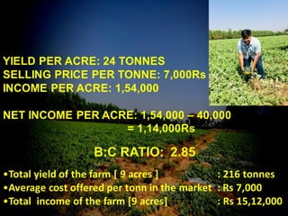 YIELD PER ACRE: 24 TONNES
SELLING PRICE PER TONNE: 7,000Rs
INCOME PER ACRE: 1,54,000
NET INCOME PER ACRE: 1,54,000 – 40,000
= 1,14,000Rs
B:C RATIO: 2.85
•Total yield of the farm [ 9 acres ] : 216 tonnes
•Average cost offered per tonn in the market : Rs 7,000
•Total income of the farm [9 acres] : Rs 15,12,000
 