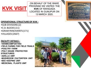 KVK VISIT
ON BEHALF OF THE RAWE
PROGRAM WE VISITED THE
KVK OF RAYAGADA
LOCATED IN GUNUPUR ON
13 MARCH 2020.
OPERATIONAL STRUCTUREOF KVK :
•SUB-DIVISIONS (2)
•C.D. BLOCKS (11)
•GRAM PANCHAYATS(171)
•VILLAGES (2667)
FACILITY DETAILS :
•VERMICOMPOSTING
•FIELD FARMS FOR FIELD TRAILS
•POULTRY FARM
•POLY HOUSE PROTECTED
STRUCTURES
•AZOLLA UNIT
•MUSHROOM CULTIVATION UNIT
•BEE KEEPING UNIT
•MEDICINAL PLANTS UNIT
 