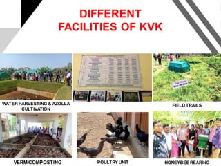 FIELD TRAILS
HONEYBEE REARINGVERMICOMPOSTING
WATER HARVESTING & AZOLLA
CULTIVATION
POULTRY UNIT
DIFFERENT
FACILITIES OF KVK
 