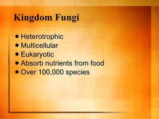 Kingdom Fungi Heterotrophic Multicellular Eukaryotic Absorb nutrients from food Over 100,000 species 