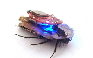 @DUIVESTEIN | Vision • Inspiration • Navigation • Trends
 