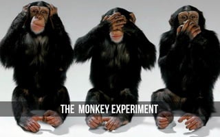 THE MONKEY EXPERIMENT
 