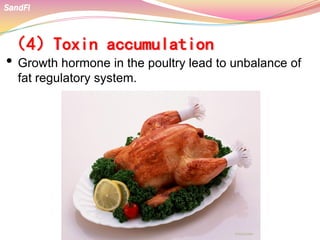 （4）Toxin accumulation
• Growth hormone in the poultry lead to unbalance of
fat regulatory system.
SandFi
 
