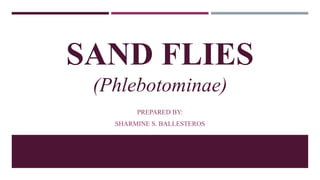 SAND FLIES
(Phlebotominae)
PREPARED BY:
SHARMINE S. BALLESTEROS
 