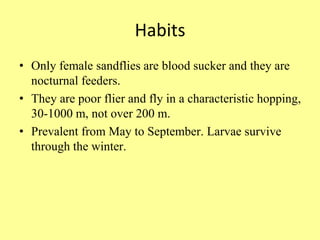 Habits
• Only female sandflies are blood sucker and they are
nocturnal feeders.
• They are poor flier and fly in a characteristic hopping,
30-1000 m, not over 200 m.
• Prevalent from May to September. Larvae survive
through the winter.
 